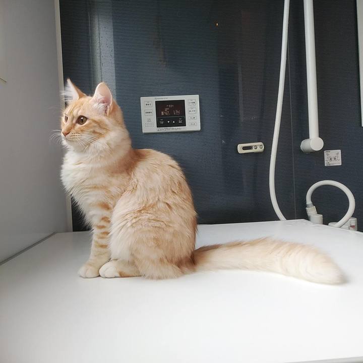 A9231d88 1232 47d5 b2b4 17ce9bc1edd7 1616205479776