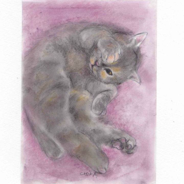 A923496b 07ce 4d92 9791 530042321422 1578302040057