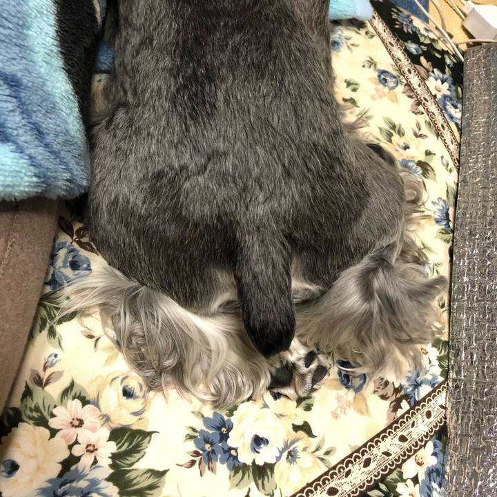 A92349fc 2ce3 4bc7 b641 8a03e9ce6d76 1669206724048