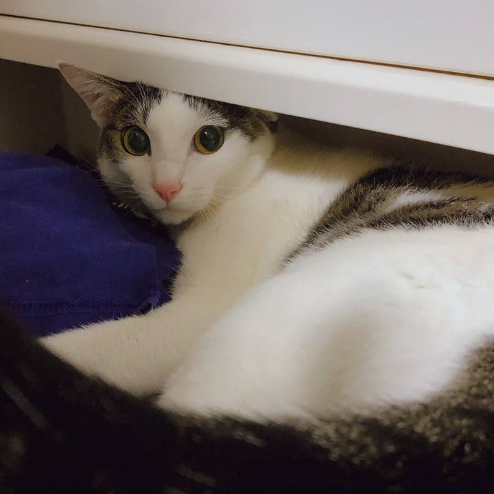 A923e3e8 1118 4274 b43f 284df4ada5a1 1605700152462