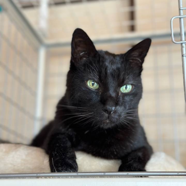 A923e954 a198 47b5 b86a d36cc251d10b 1683940445261