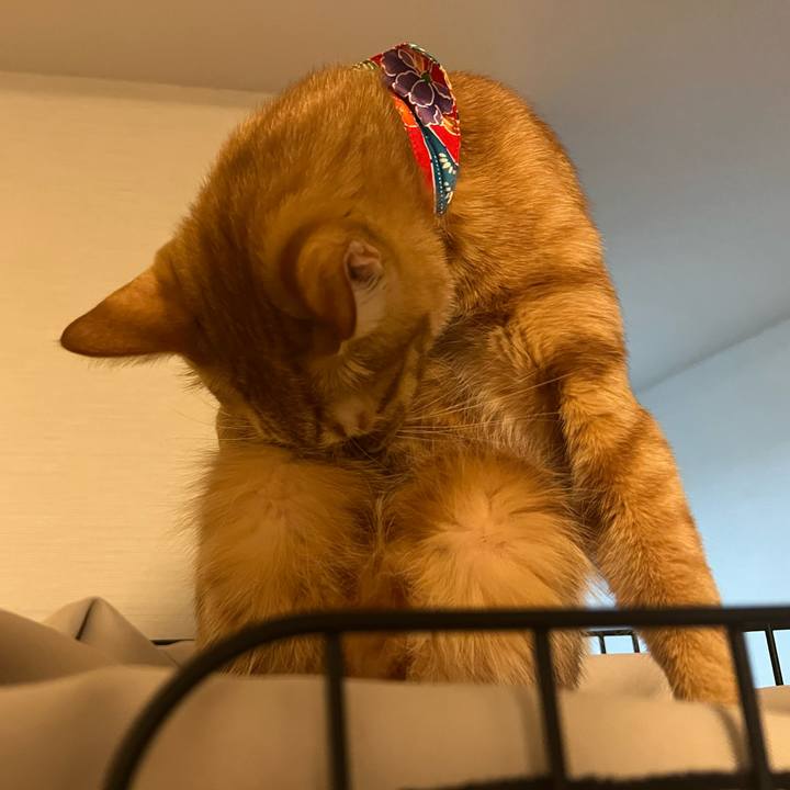 A923fdd8 4036 40ef 830d c7feda18e458 1643530555736