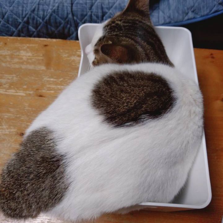 A9242096 c7e6 48dd b239 14495913c70a 1669630266440