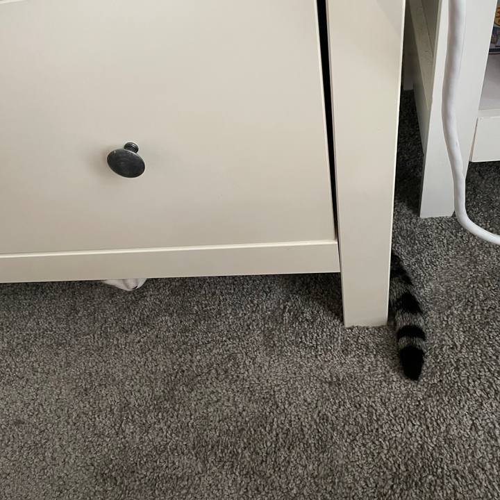 A9243ab8 8711 4902 b4ed bfaa1076bd29 1695861316081