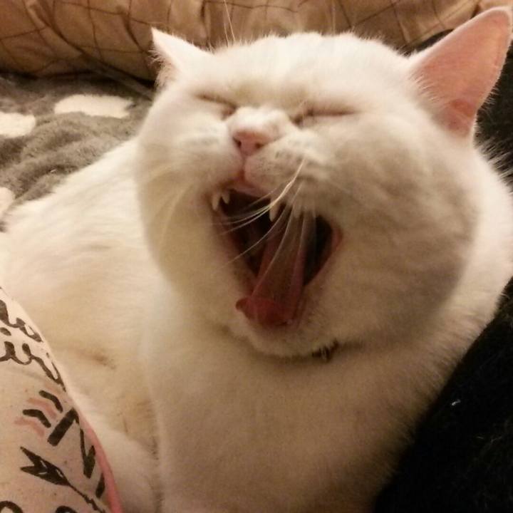 A9244f04 3439 47e7 872e 9e963b0a696b 1525334886539