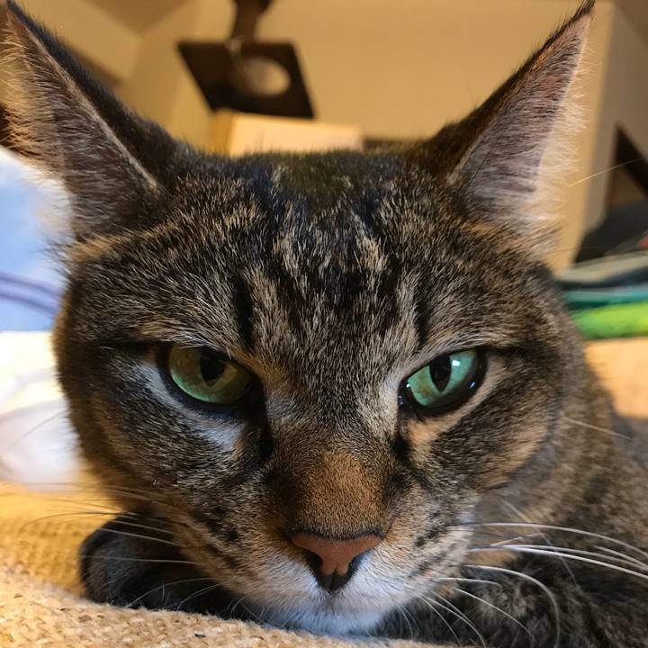 A9245d9b 2e04 4e91 a551 26990999fd83 1531990330595