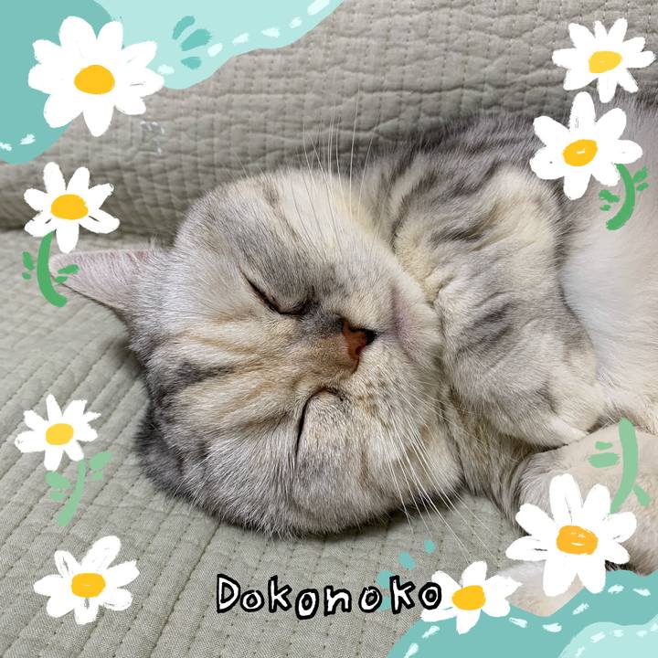 A9246ee7 bb18 484f ab0f f5e6b599a040 1712240005323