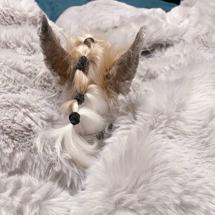 A9248446 be18 412c 869d 8ecba7a6cf1a 1763716627757