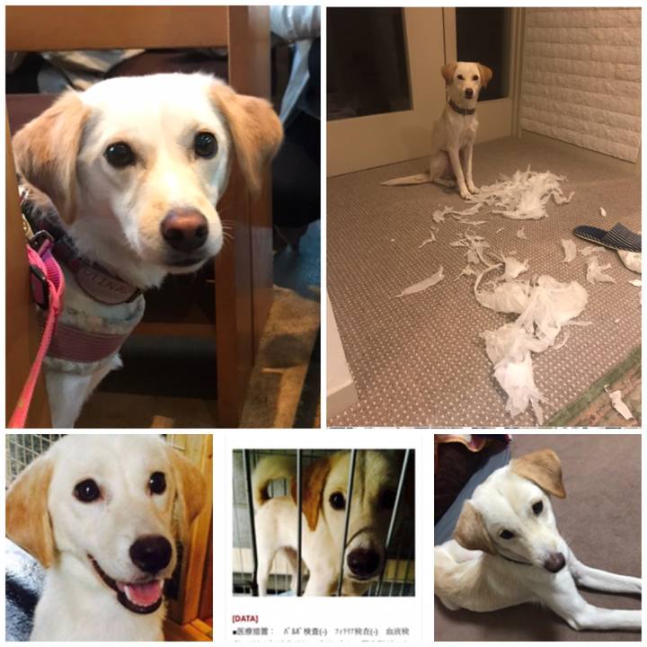 A9249f35 7a7a 46c3 832a 69f0152683de 1545145556035