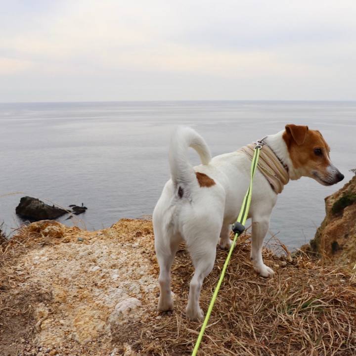 A924bc4f bc79 4f07 80b1 602c965eaa21 1613195482182