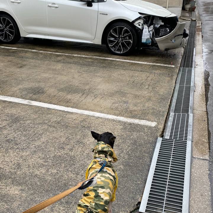 A924c26f ce05 4d74 ad91 00c4a767ce6d 1583627565362