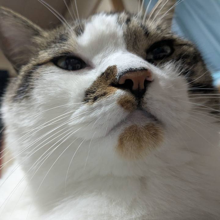 A924da17 476c 41fc ae24 b0922f8ad699 1751672487372