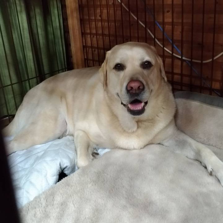 A924f1a0 0ad5 419a 9d1a d73595adbfb7 1631532517072