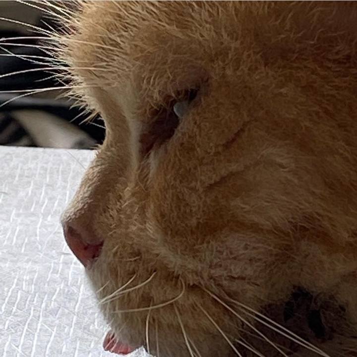 A9252709 99d8 4212 ae63 836e178dd43f 1629526302026