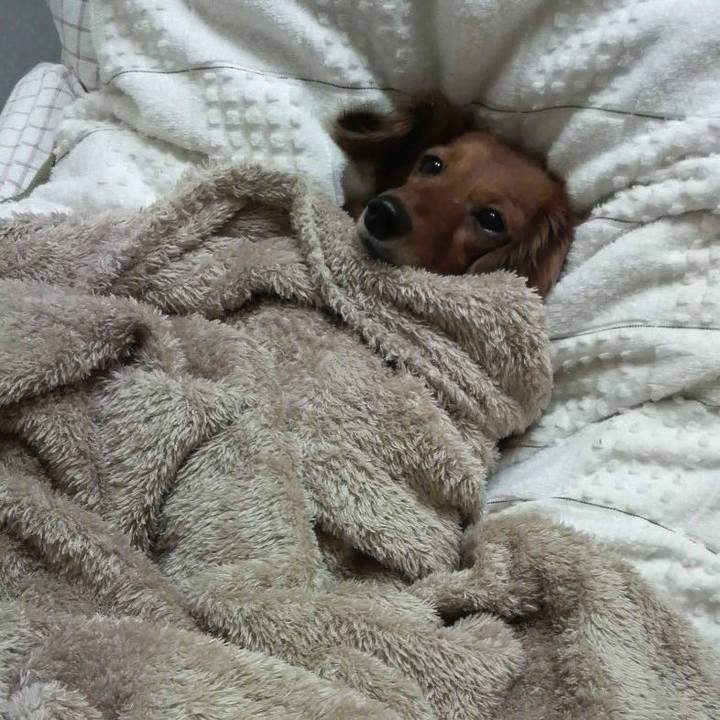 A925343f 68ff 4662 a282 5be1539e1c36 1535135525540