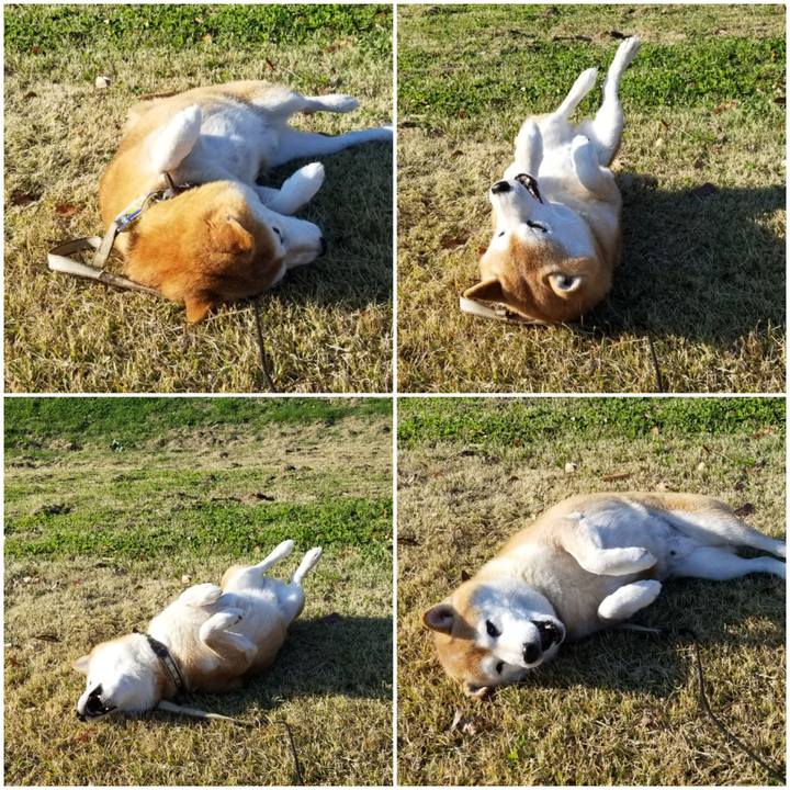 A92541dd fc64 4b19 a792 44f4aa308087 1668754641748