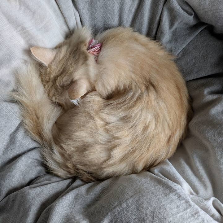 A9258176 f46b 487c b72a e1e9963bc259 1762390454399