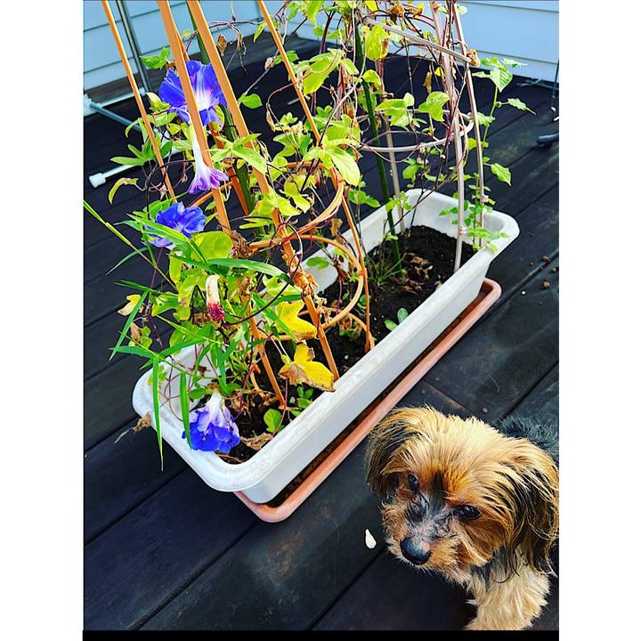 A925b131 542e 46c3 a040 a5847e10969b 1693863065411