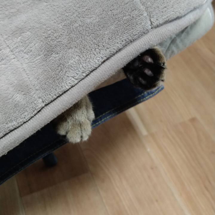 A925f577 3b06 47c5 8dc9 fb92b46e119d 1651122820252