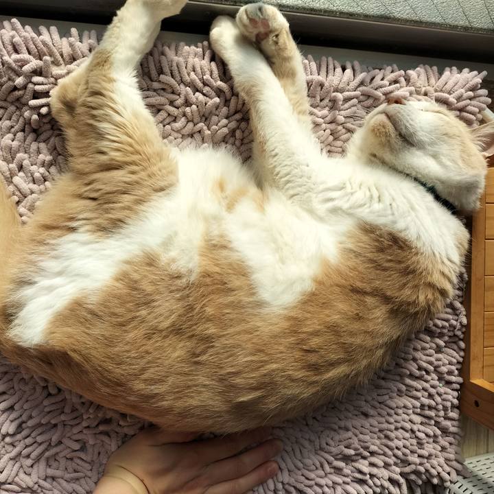 A9264a59 557b 4535 b588 84554b5a4fae 1650408301946