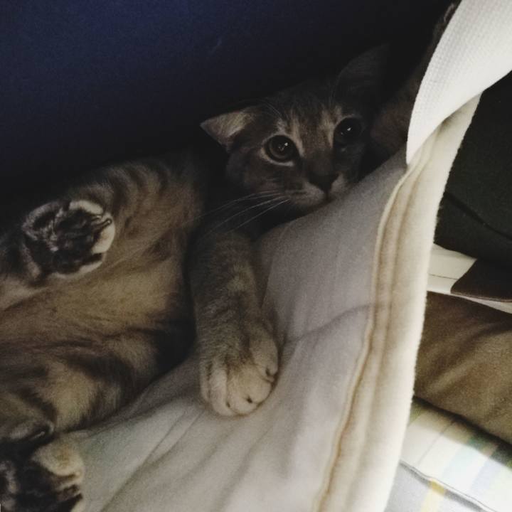 A9265fd0 45c1 4de0 98fe 6ced82738c4e 1523671053946