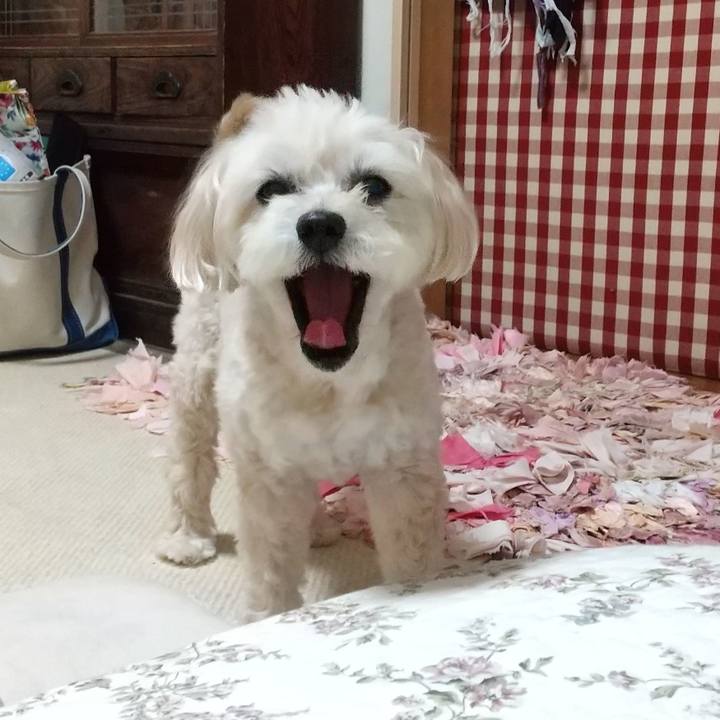 A926a8f7 cf7a 46e8 a88b 463849acc62f 1597833676721