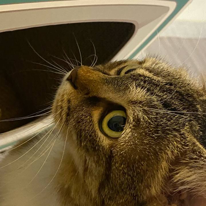 A926c3c7 edc7 4254 8655 c1a98a55432a 1634035310637