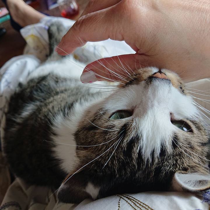 A926e6e6 9f12 4d19 aad4 e3f7532c519c 1647469971235