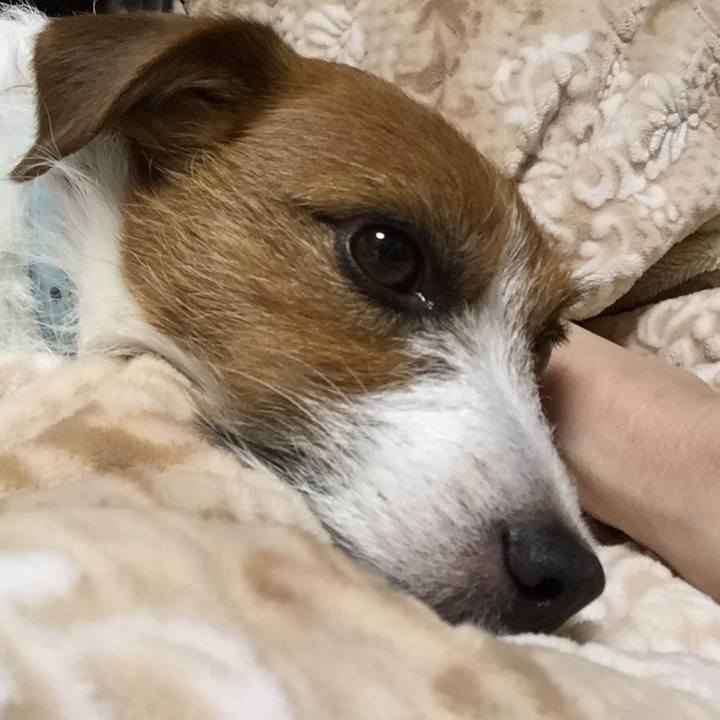 A926fb7c 679b 48e9 bfea f58aab5f0fba 1518963008451