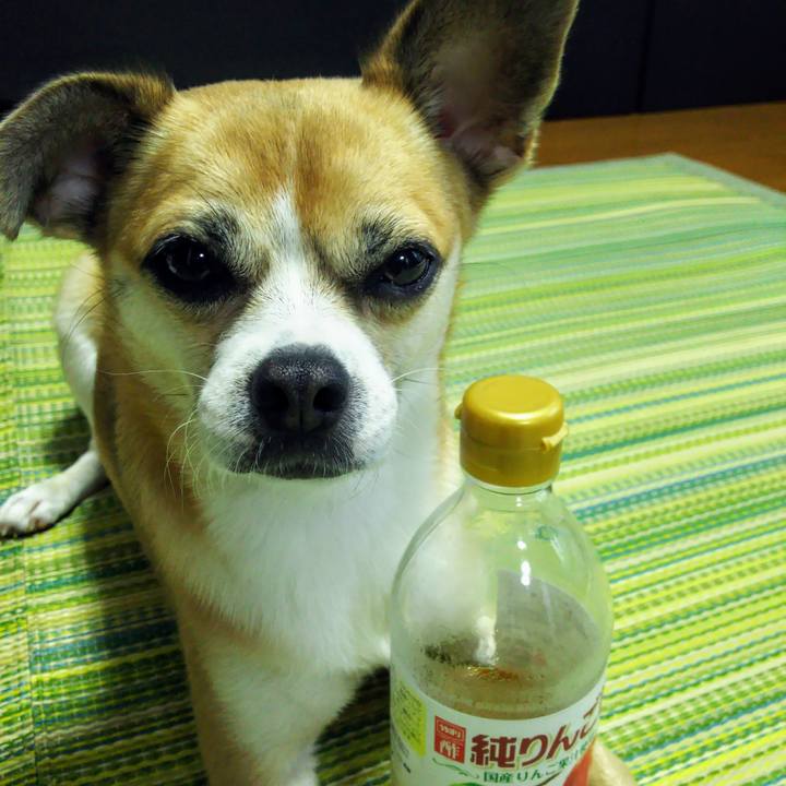 A9272cb4 84bd 4835 8d30 8ecd0df338b6 1567718242149