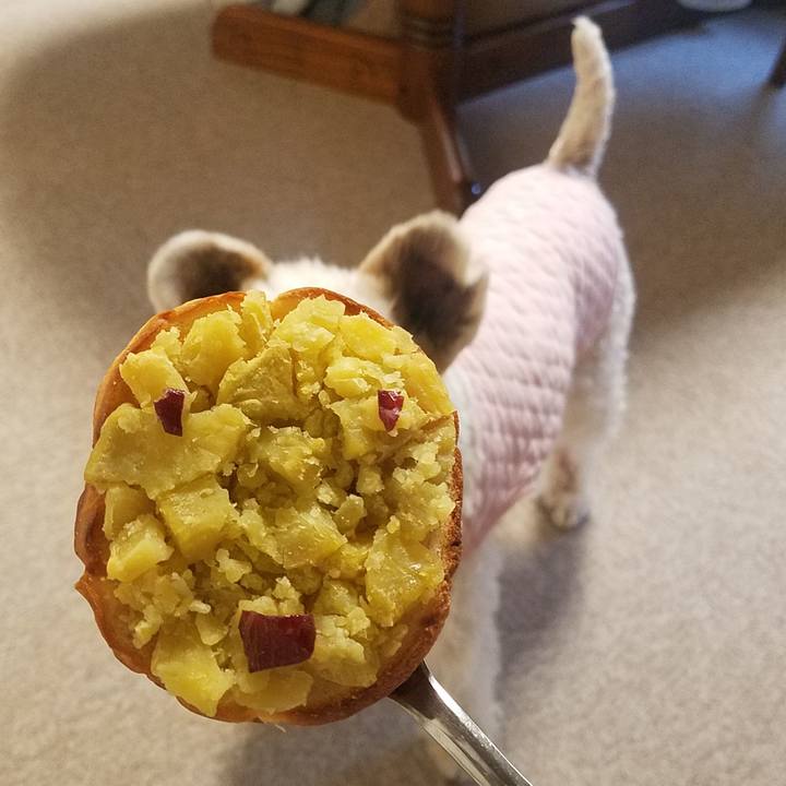 A9274a40 a0d0 403e be40 08f063e4868c 1603586329064