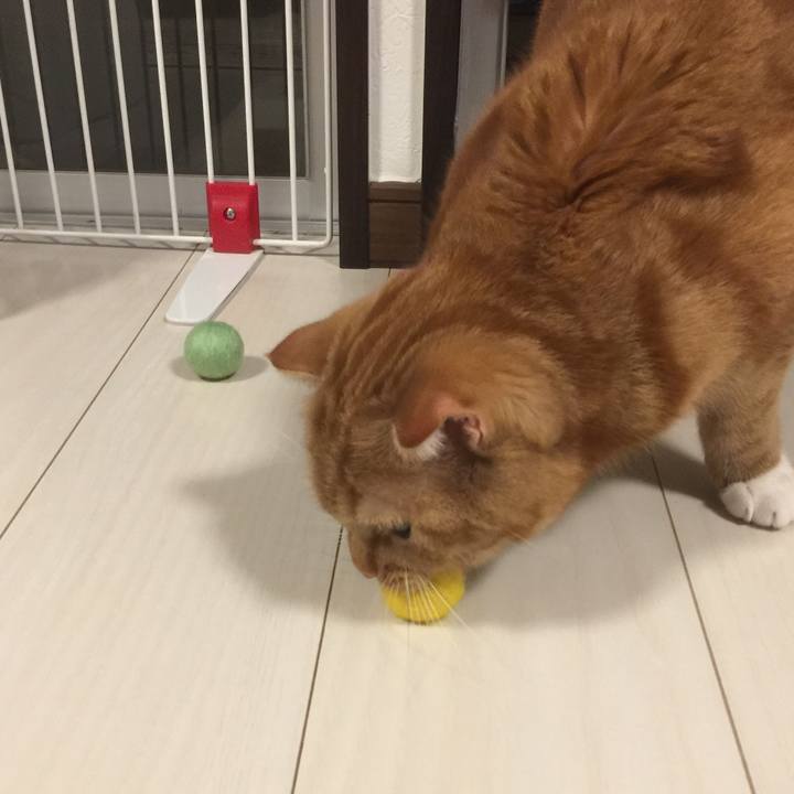 A927b086 0107 4e3d 8032 e2b7a9e32742 1552136771103