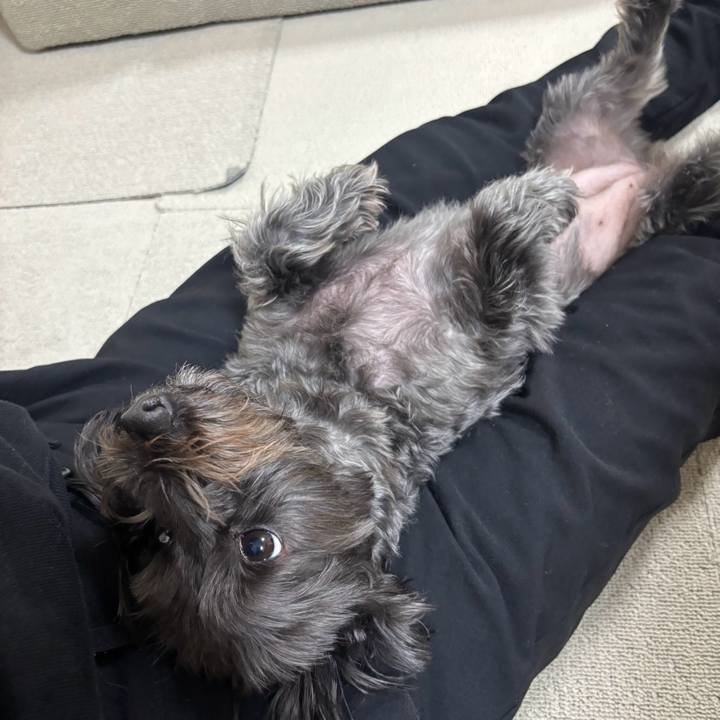 A927c057 cbbc 4f2e 867f 6b5218650b09 1768736562914