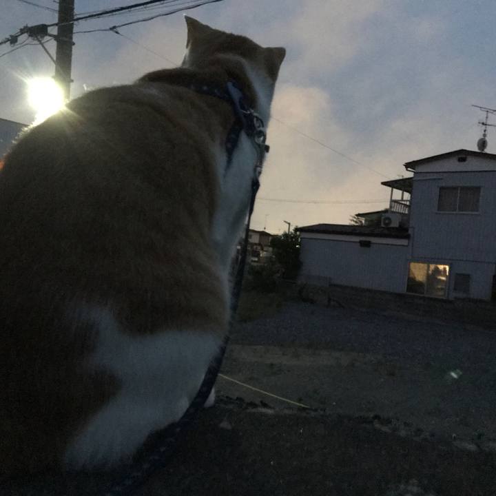 A927c0ea 5361 4747 aacb c5e642a5ed9c 1527687066770