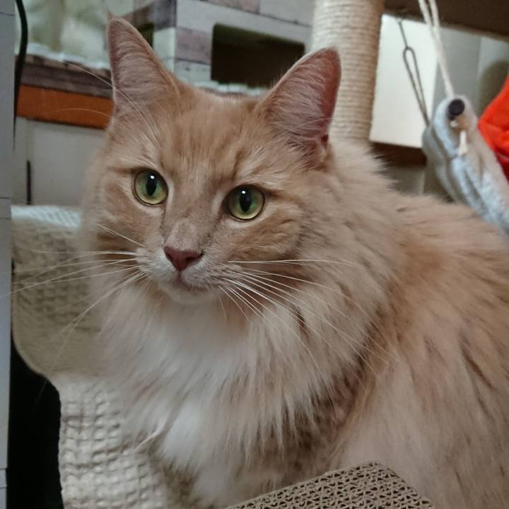 A927d534 205e 40de 9b23 c4d98360b2a2 1572146311599