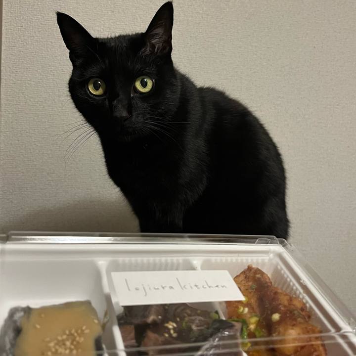 A927f38a 38ff 4430 86c1 14fd15a72b44 1738235347381