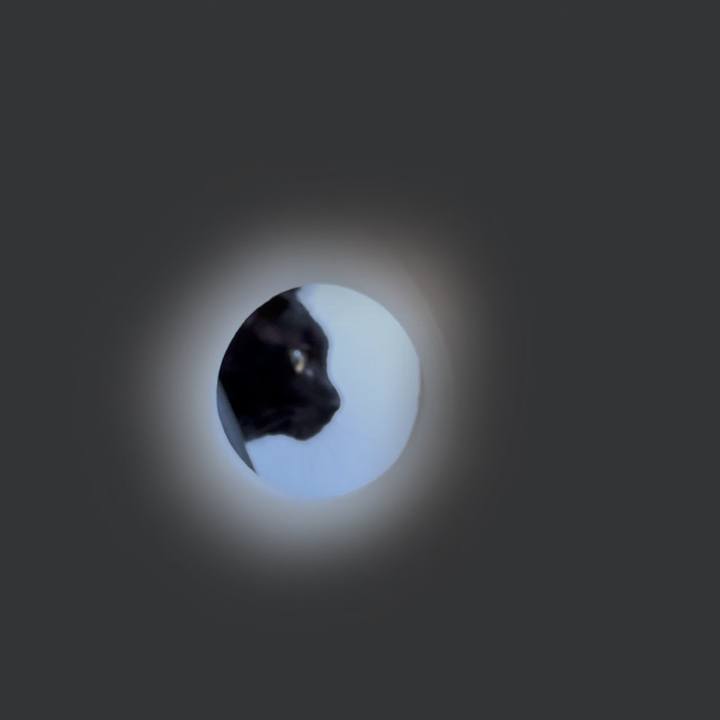 A927fdff 78a9 4cc4 82c8 e258cf3bc00e 1759881614715