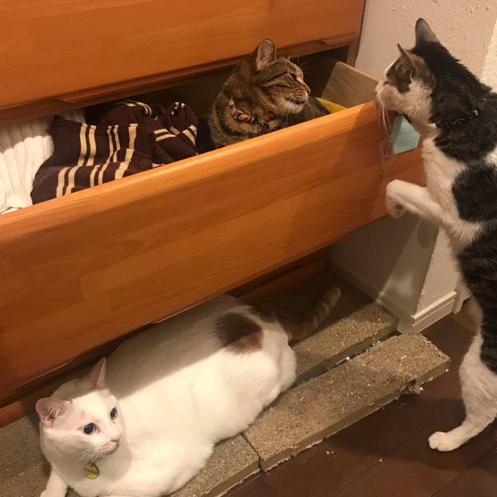 A92804bf 0e46 4c10 b85b 06081cf0f451 1561300406732