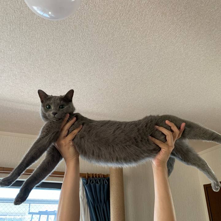 A92830d4 7c0e 4486 9204 9969f034584d 1596431913823