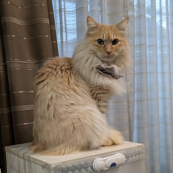 A9283331 88e6 44d4 b766 10ecea06deaa 1744188819861