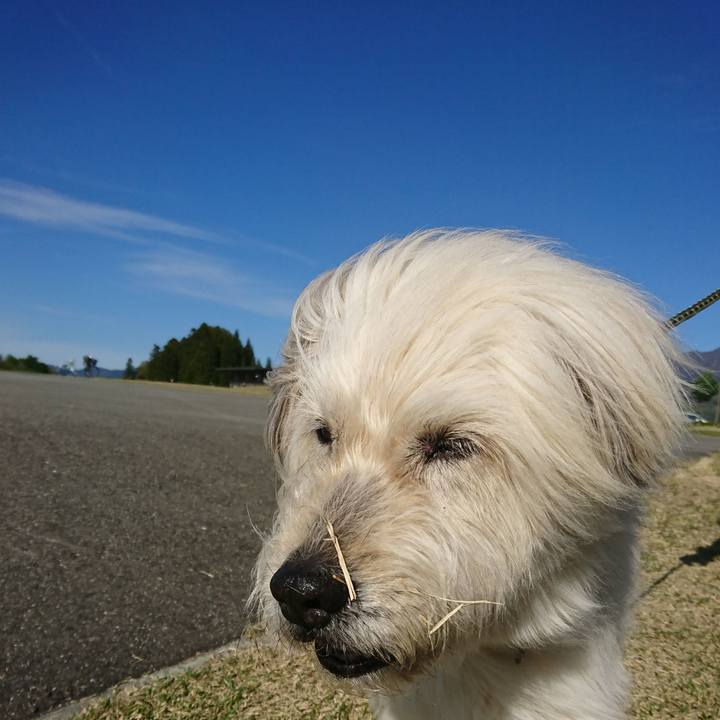 A9287413 4bf0 439e 999a 78089e3d1d62 1588665200462