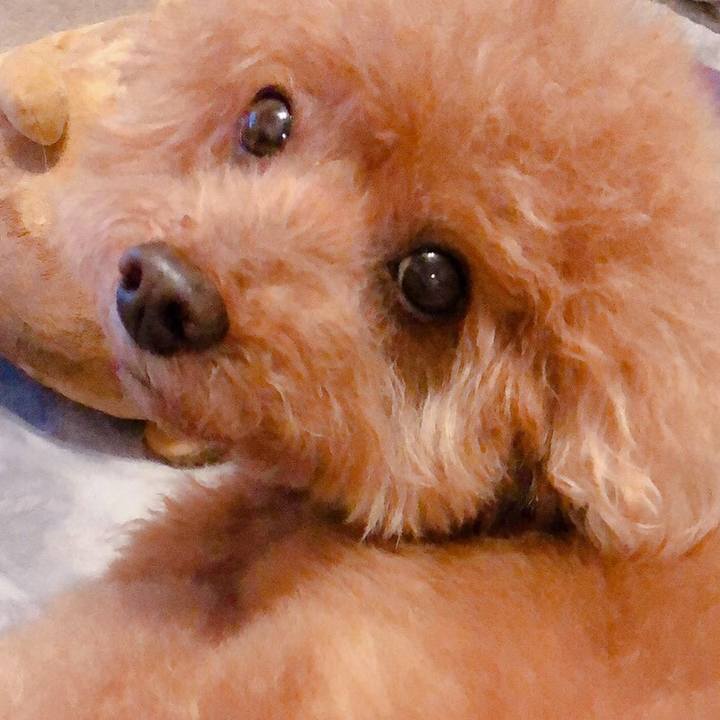 A92883fa ff58 4052 96f6 f8fd7a6d7acc 1549327734031