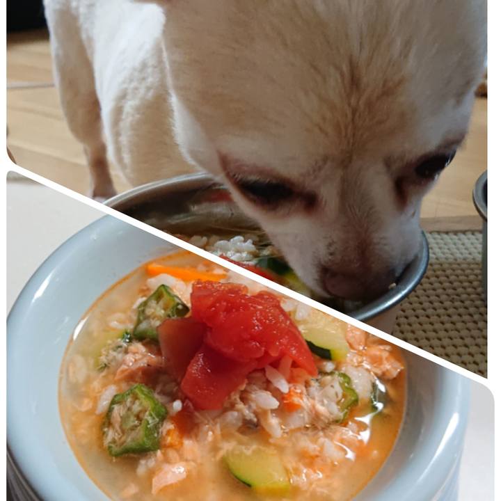 A9289b1c 07d5 4d43 8392 3d0f6195de1b 1563365662083