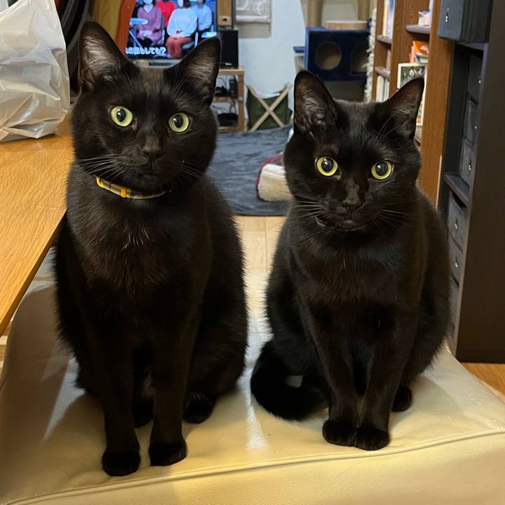 A928b4e2 ba04 48f6 a18e 53868cad5019 1677625385885