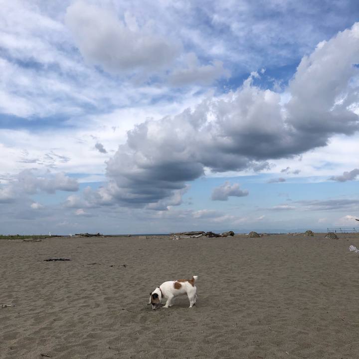 A92923f8 2d1f 4bc6 8b88 37d55546f8e9 1600643536896