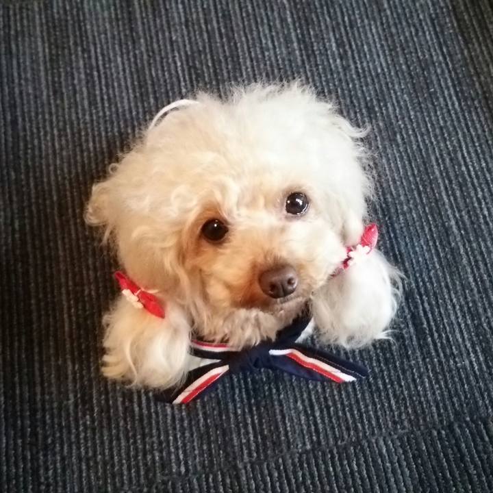 A9292aff d9bb 40f9 a7ae bc193381b1b1 1515499657412