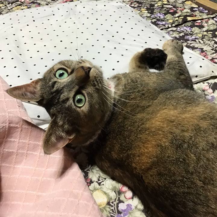 A9294fbd 854b 45a4 8d6e a6a14f35ae9b 1654251714242