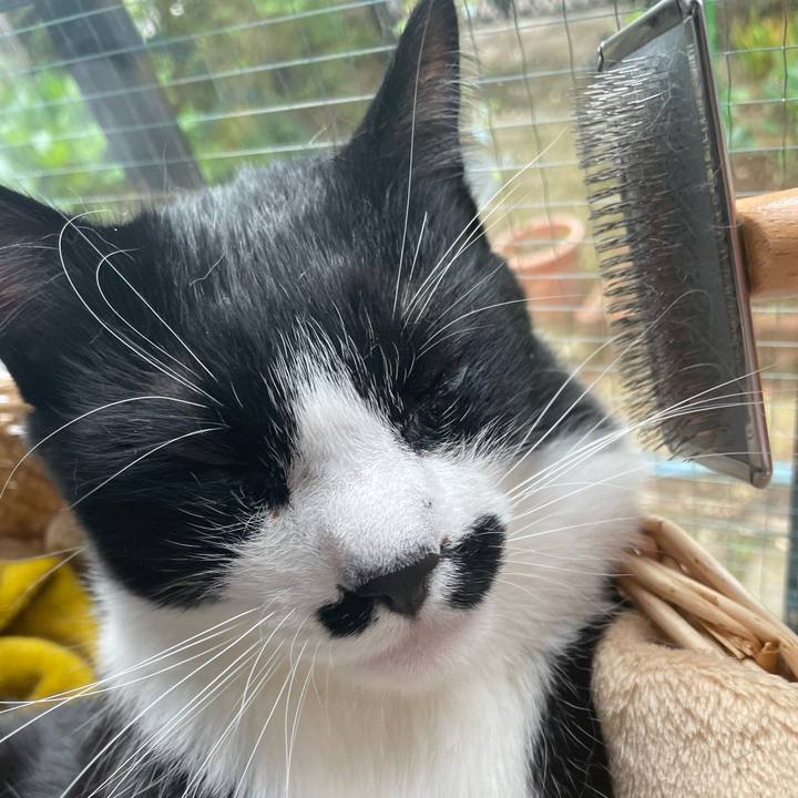 A92979fa 3bb8 4445 8e81 a483a63e202e 1653173038950