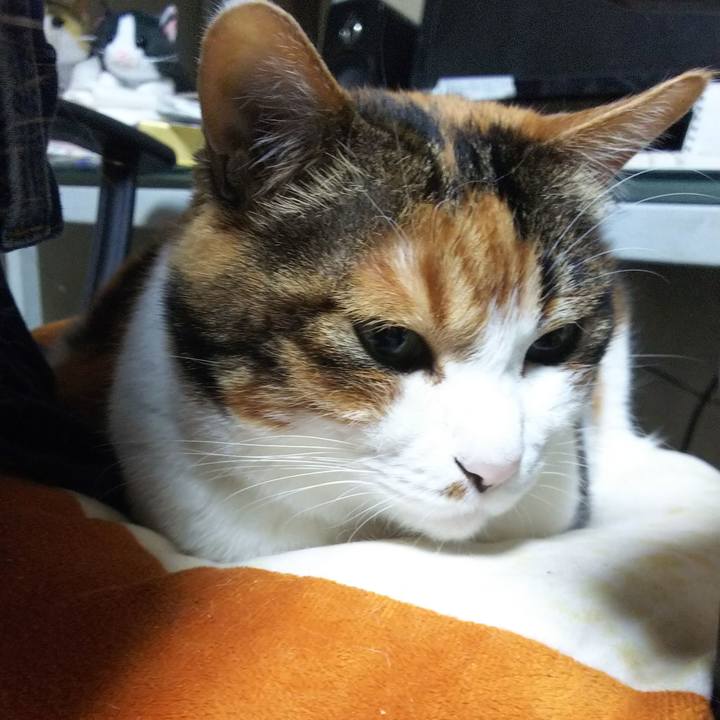 A9298053 740a 4032 98d0 b28e878b62cd 1547757905863