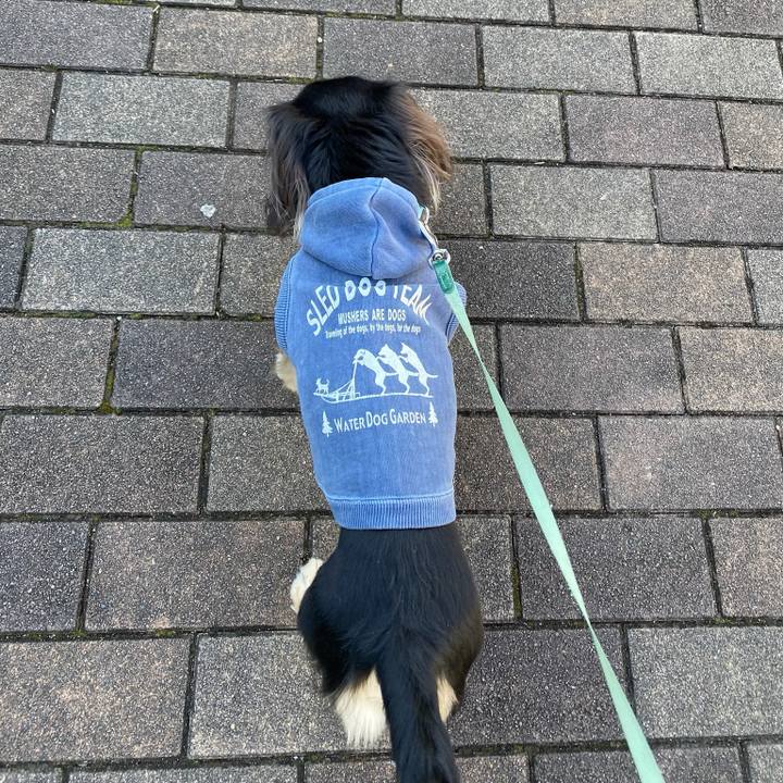 A92996f1 3372 47db be66 7a70a72f38d7 1703419665620